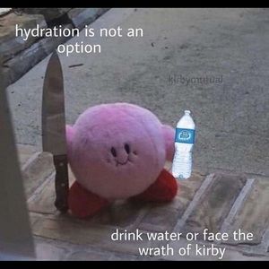 Meet your Posher, Ana